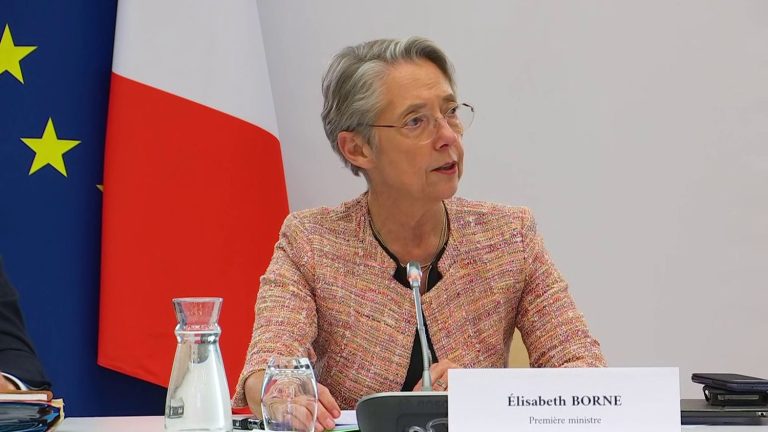 Elisabeth Borne lifts the veil on part of France’s greenhouse gas emissions reduction plan by 2030