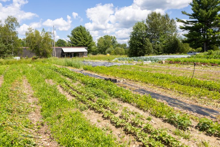 Farms increasingly unaffordable for young producers