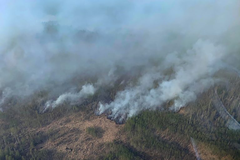 Forest fires |  Alberta declares state of emergency