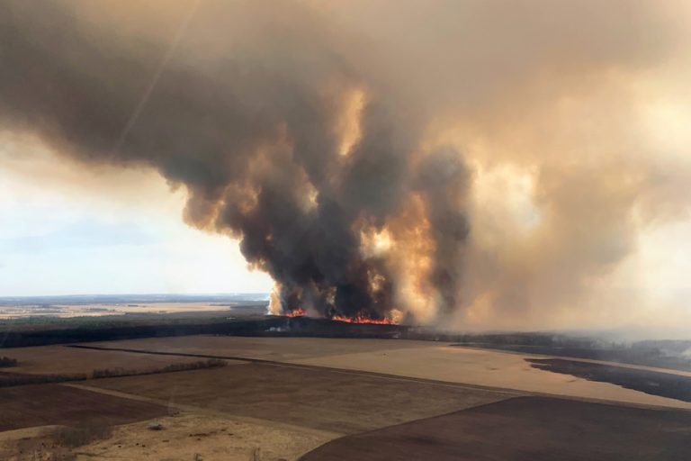 Forest fires |  Communities evacuated in Alberta and Saskatchewan