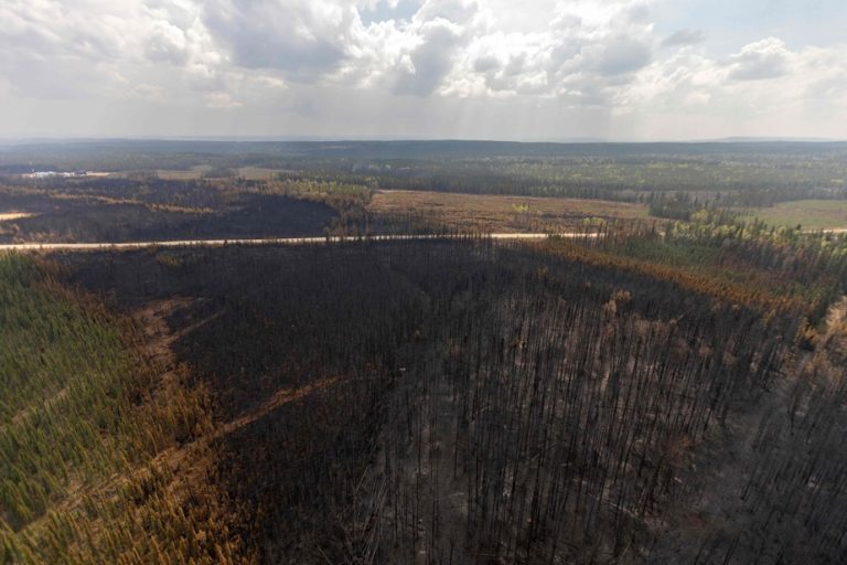 Forest fires |  More than 10,000 square kilometers burned in Alberta