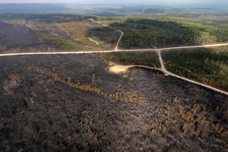 Forest fires |  The army on its way to Alberta