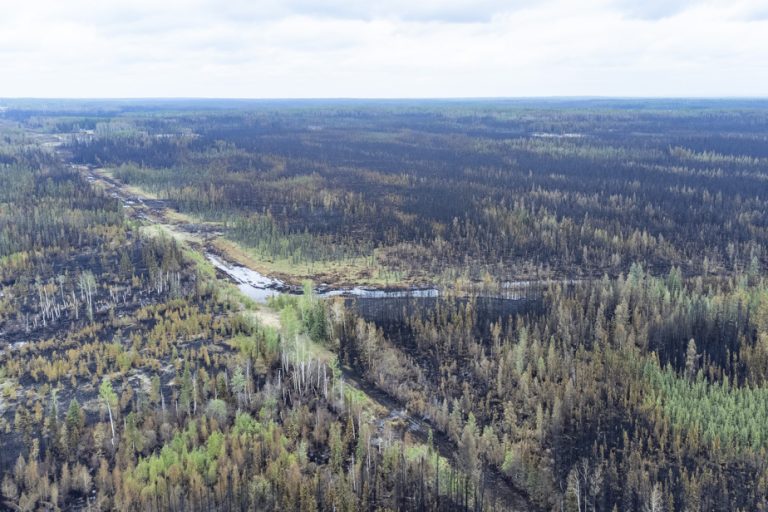 Forest fires |  The return of dry conditions worries in Alberta