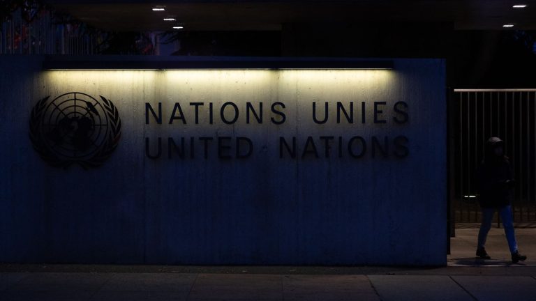 France pinned at the UN for racial discrimination and police violence