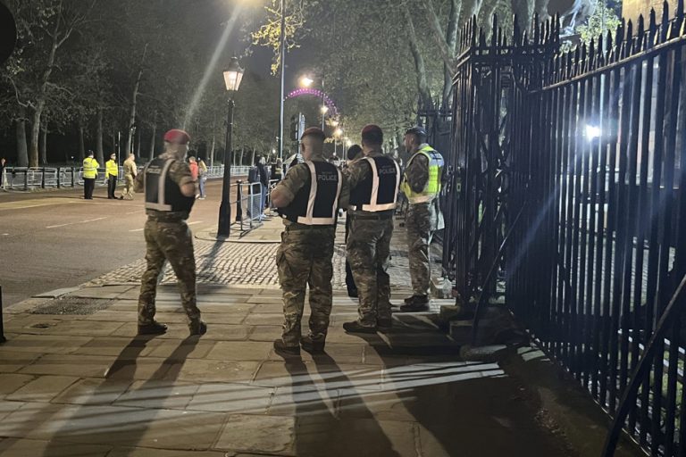 Gun suspect arrested near Buckingham Palace