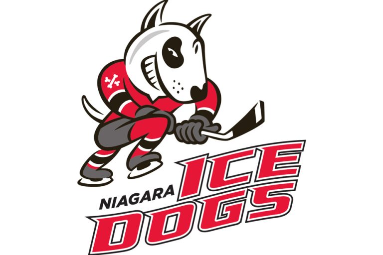 Harassment, bullying and abuse |  Niagara IceDogs punished by OHL