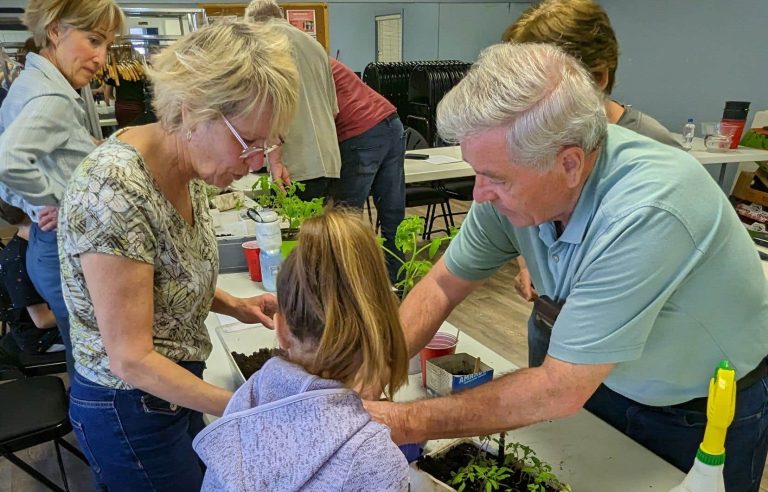 In Drummondville, we garden to reconnect the ties between the generations