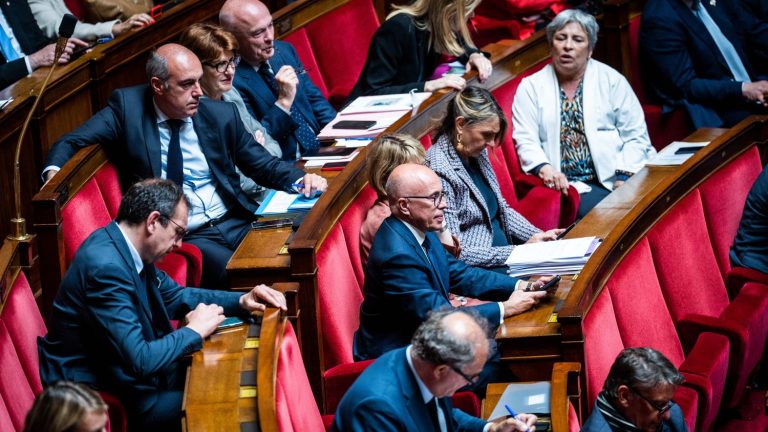 Limitation of family reunification, migratory ceilings, end of the AME, an annual debate in Parliament… LR deputies will table a new immigration law on Wednesday