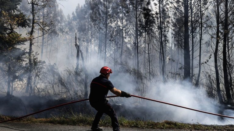 MPs vote to increase fines for breach of brush clearance obligations