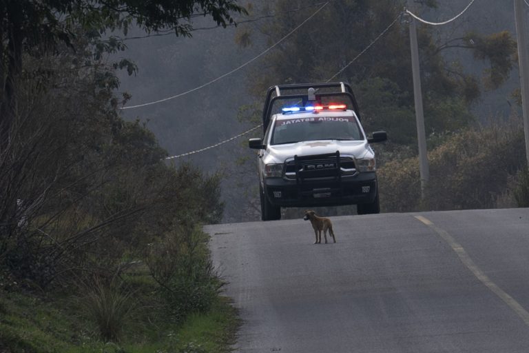 Mexico |  A shootout between “delinquents” and police leaves 10 dead