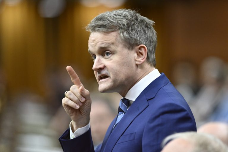 Minister Seamus O’Regan rejects resolution on disinformation