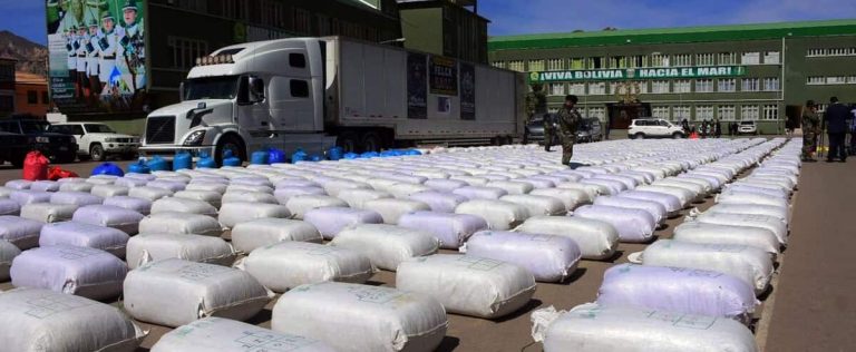 More than 9 tonnes of coca leaves seized in Bolivia