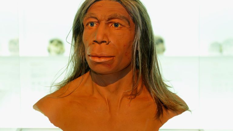 Neanderthals gave us the shape of our… nose