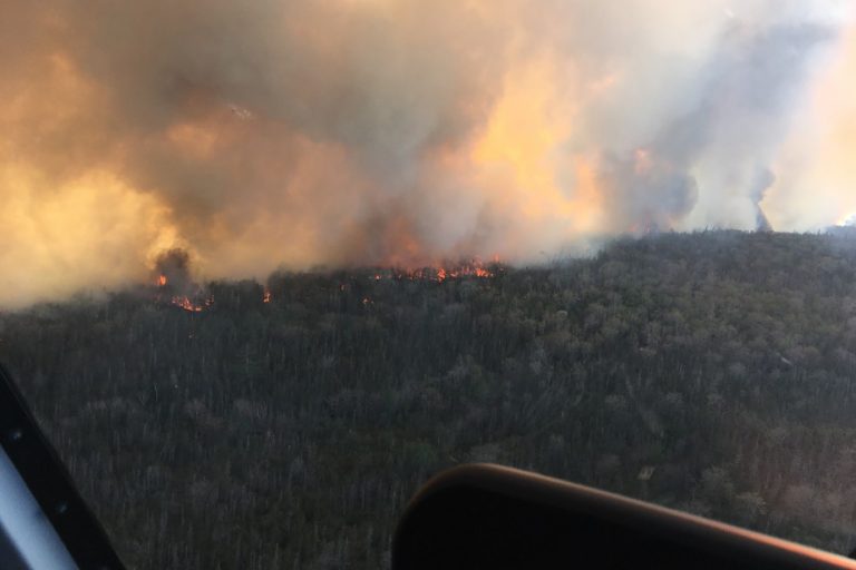 Forest fires declared out of control in Nova Scotia