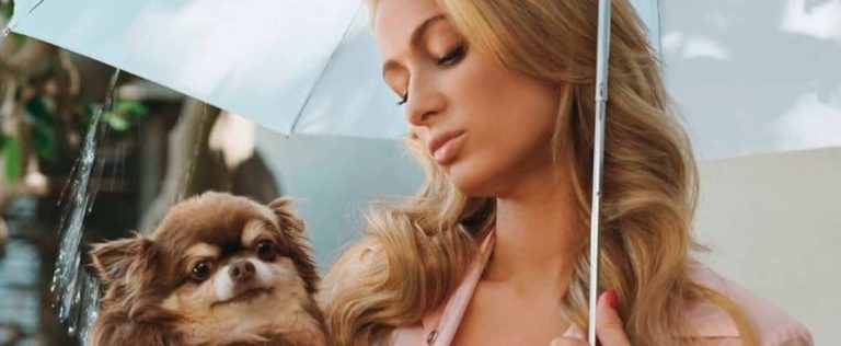 Paris Hilton mourns the death of her dog