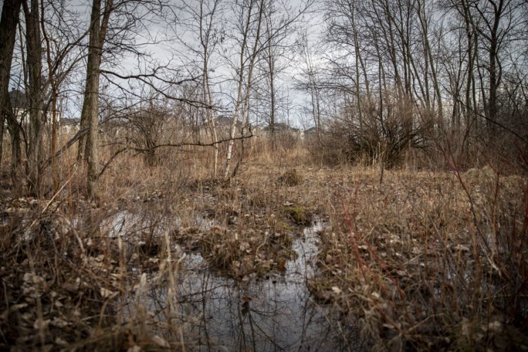 Protected Areas in Canada |  Quebec among the top of the class