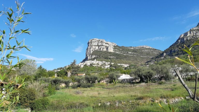 REPORTING.  The fight of Saint-Jeannet, in the Alpes-Maritimes, against dengue fever and the tiger mosquito