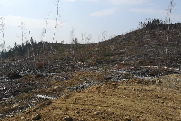 Saguenay–Lac-Saint-Jean |  Indigenous people block logging sites