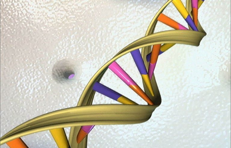 Scientists unveil first human ‘pan-genome’