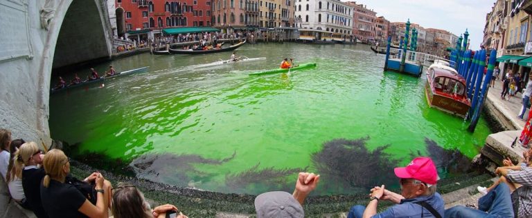 The Grand Canal of Venice turns green: the cause finally known