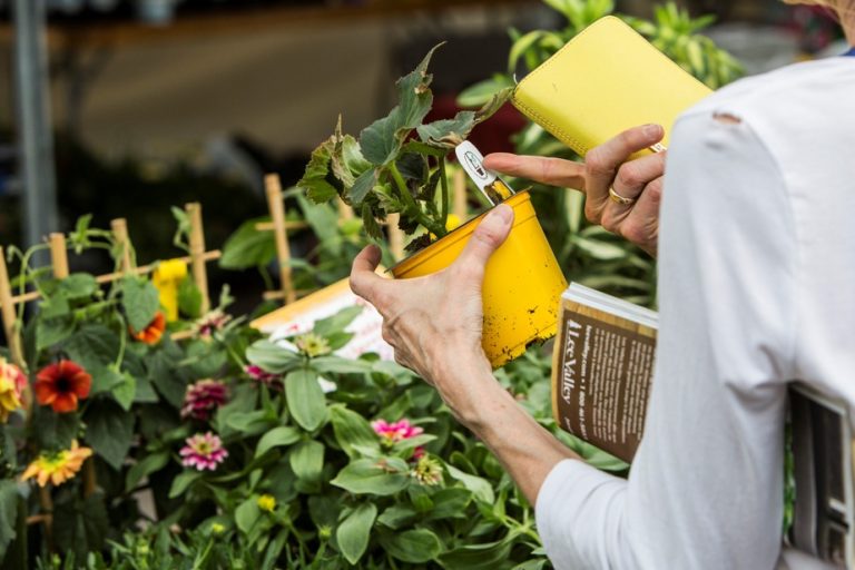 The Horticultural Rendezvous returns to the Botanical Garden