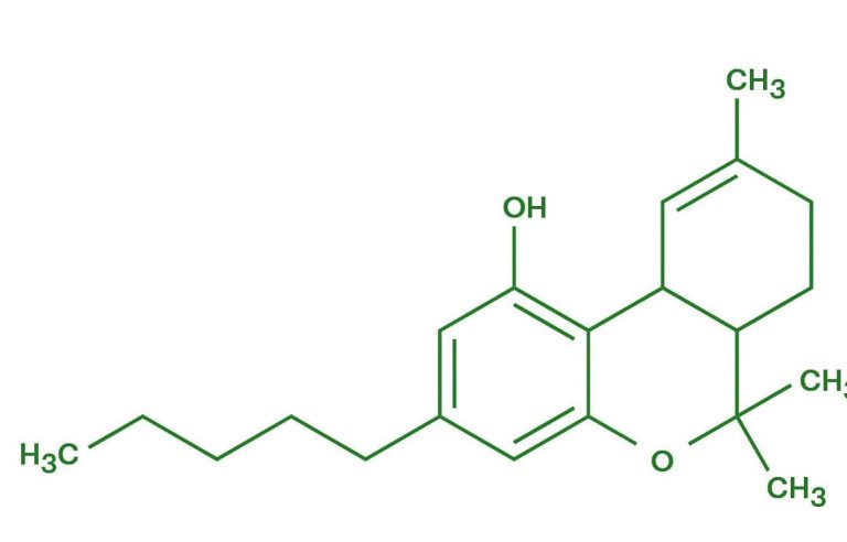 The dangers of cannabis… and its synthetic analogues