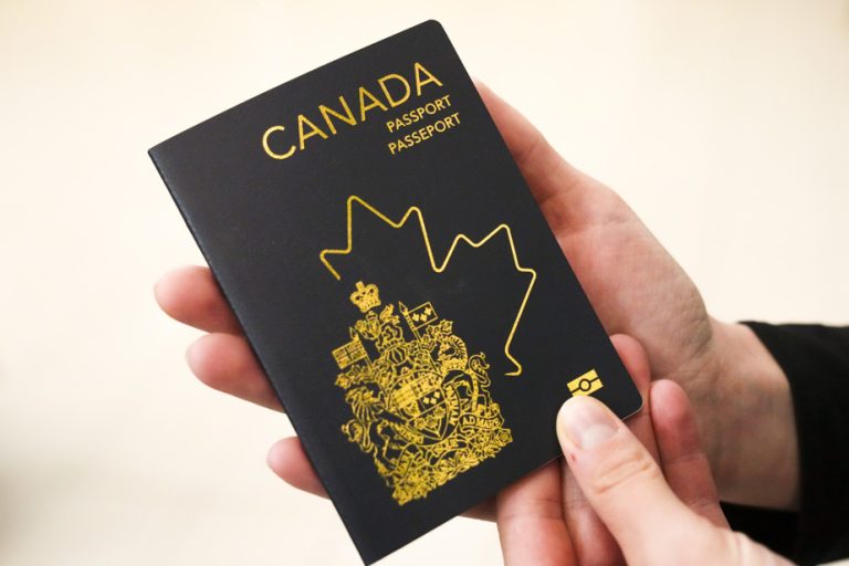 The new passport arouses passions in the House of Commons