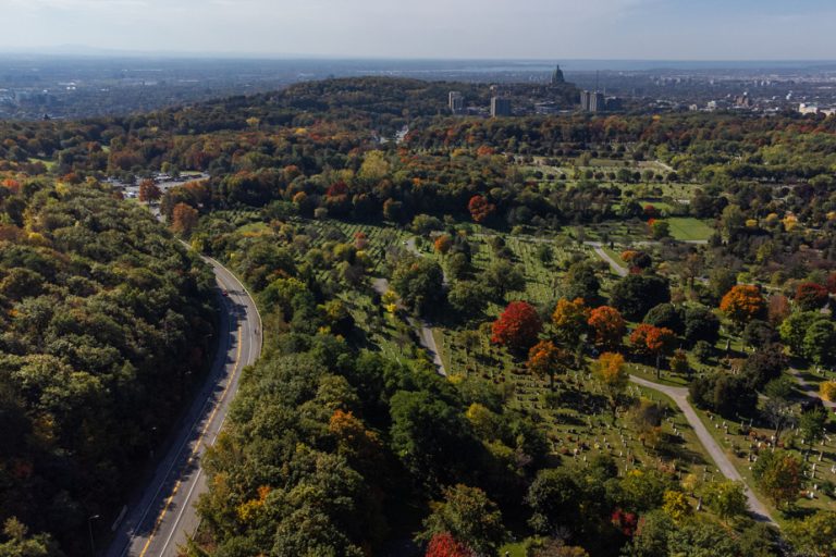 Three essentials to save Mount Royal