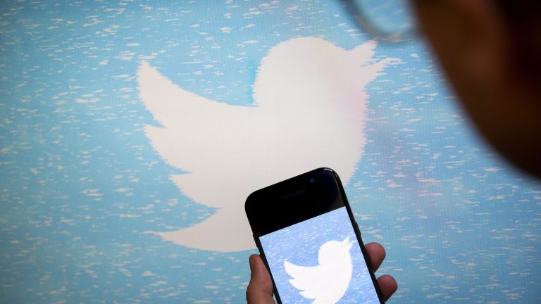 Twitter withdraws from European code of best practice against disinformation, a new showdown between the platform and the EU