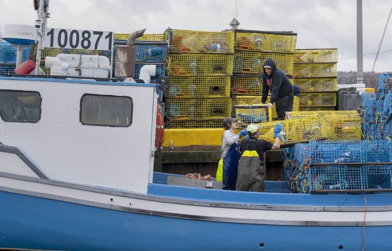 Upcoming reopening of a popular lobster fishing area