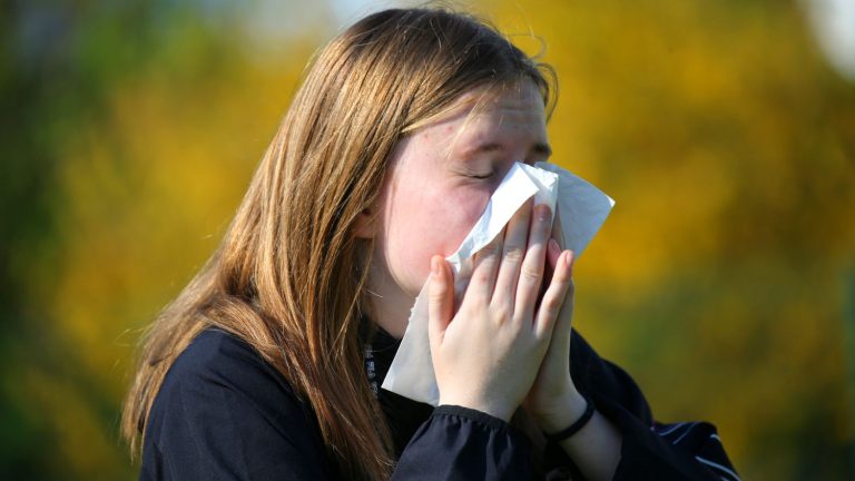 “We have the impression that there is a modification of the pollen seasons as the climate evolves”, notes an allergist