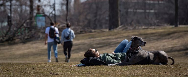 Weather in Quebec: cool weather despite the sun for the start of the week