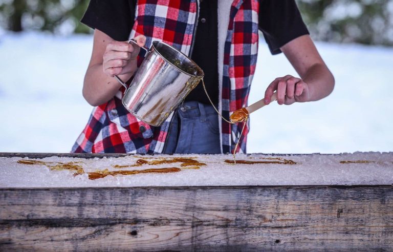 What will become of maple syrup production in the era of climate change?