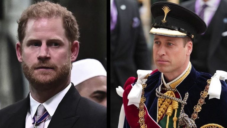 William and Harry, the heir and the fallen