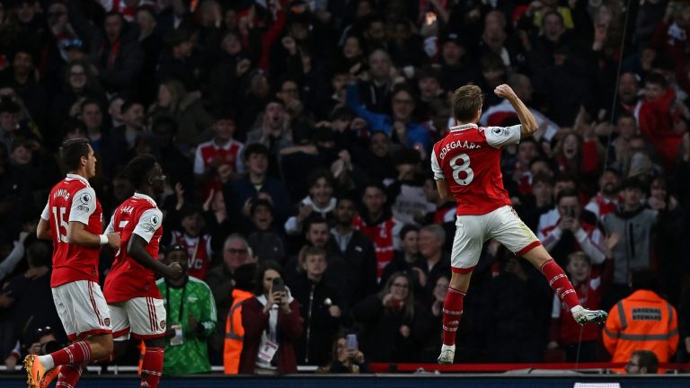 Win the dog, new signing for the Gunners from Arsenal