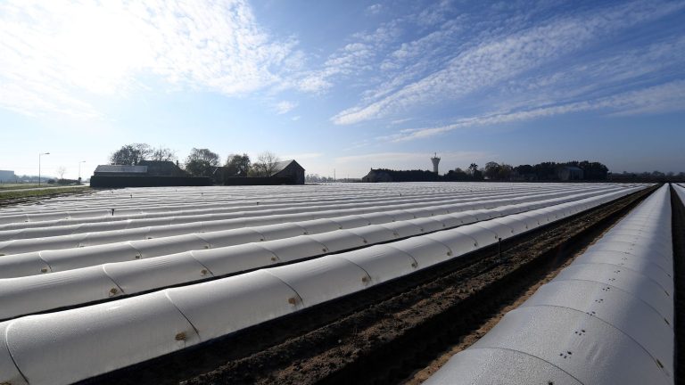 an agricultural company judged in Angers after the intoxication of 70 people with the pesticide