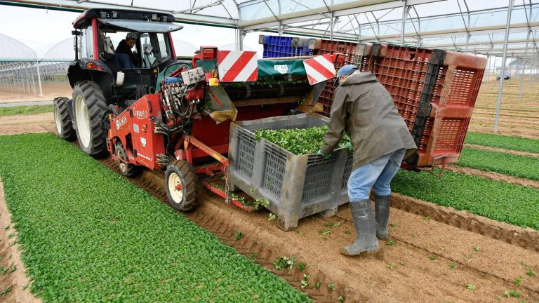 an agricultural company sentenced for the intoxication of around sixty people after the spreading of a pesticide in 2018