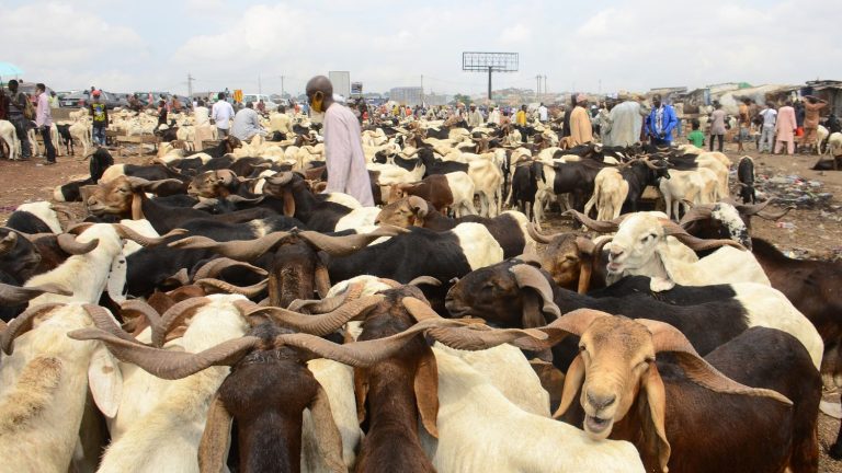 at least 85 dead in clashes between farmers and herders in the center of the country