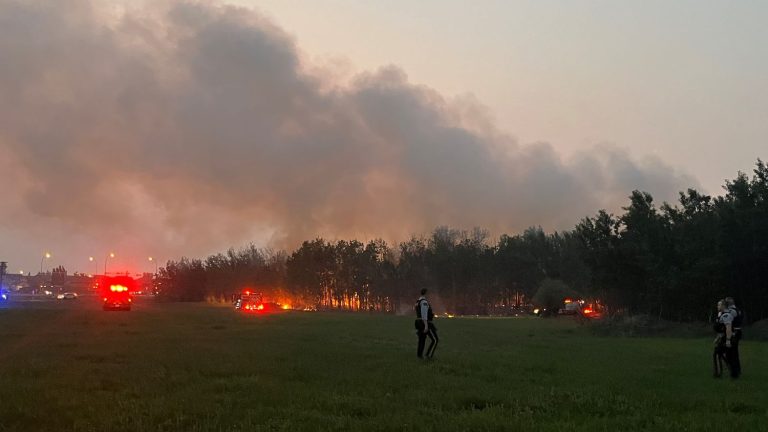 between melting sea ice and burning forests