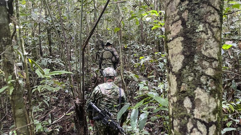 children missing for a month in the jungle are ‘alive’, authorities say