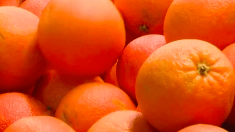 climate change is expected to lead to a global shortage of orange juice