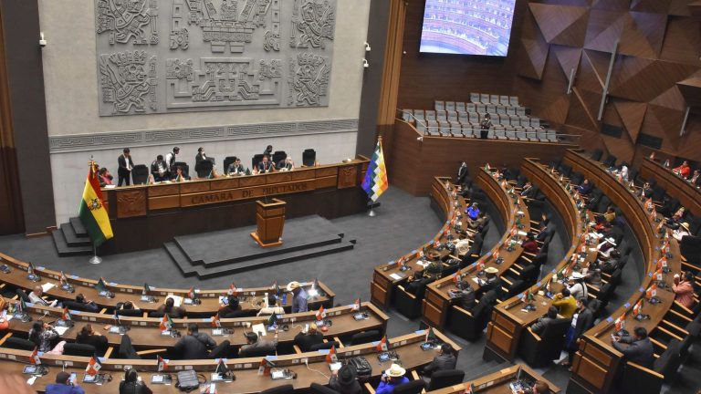 deputies fight in Parliament during a session dedicated to the imprisoned opponent Luis Fernando Camacho