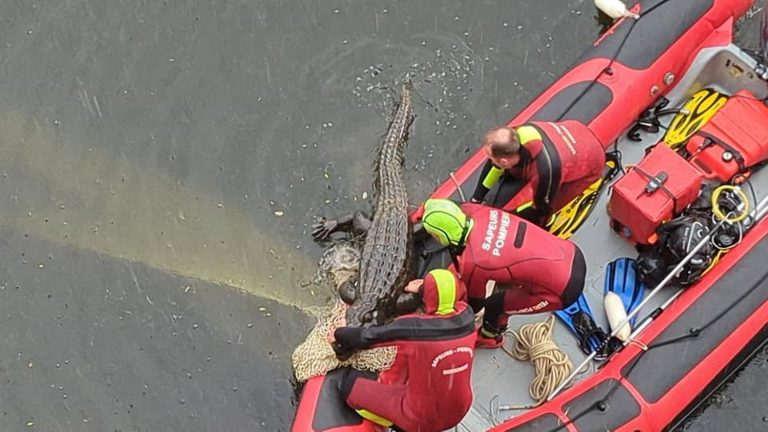 false crocodile alert in Bergerac