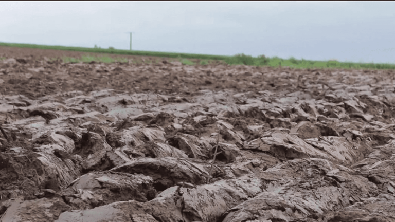 farmers confused by climate change