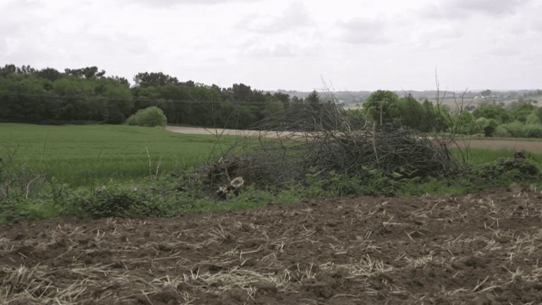 farmers in a hurry to preserve hedgerows