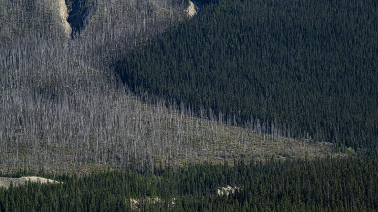 new evacuations in Alberta, nearly 30,000 people displaced