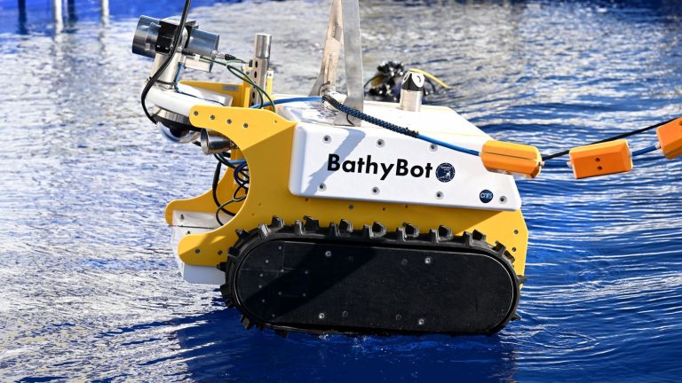 the BathyBot robot is working again and finally reveals its images of the Mediterranean seabed