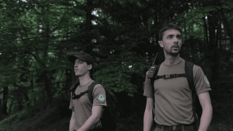 the Brocéliande forest placed under surveillance