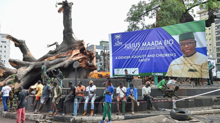 the “Cotton Tree”, a historic tree, present since the founding of the country, has just collapsed and arouses great emotion