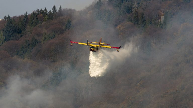 the European Union has doubled the capacities of its aircraft fleet in anticipation of an “intense” summer